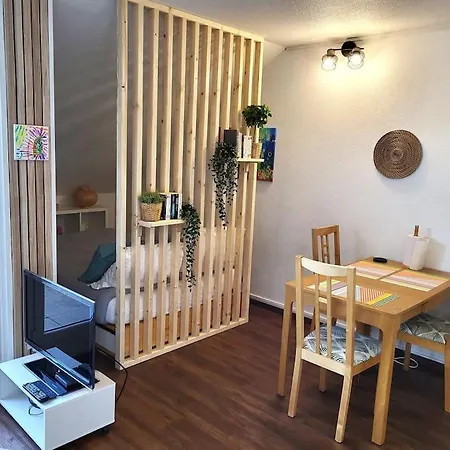 Apartament Beautiful At Geneva Airport Voltaire