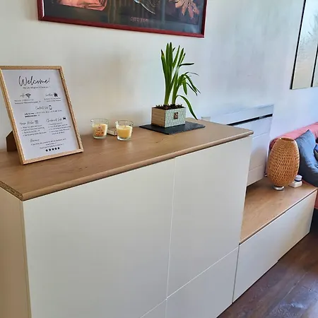 Soundproof Geneva Airport 10 Min And Un 20 Min Appartement Ferney-Voltaire
