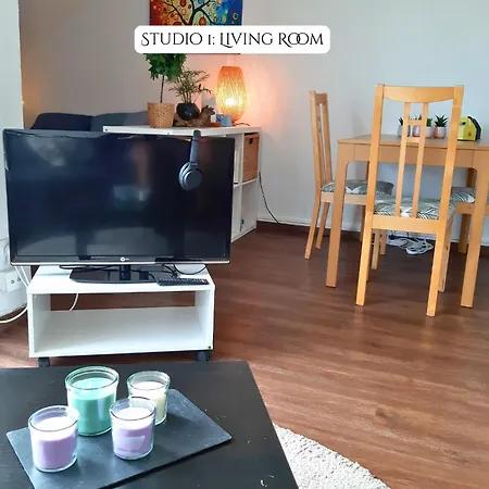 Soundproof Geneva Airport 10 Min And Un 20 Min Apartment Ferney-Voltaire