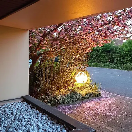 Appartement Soundproof Geneva Airport 10 Min And Un 20 Min